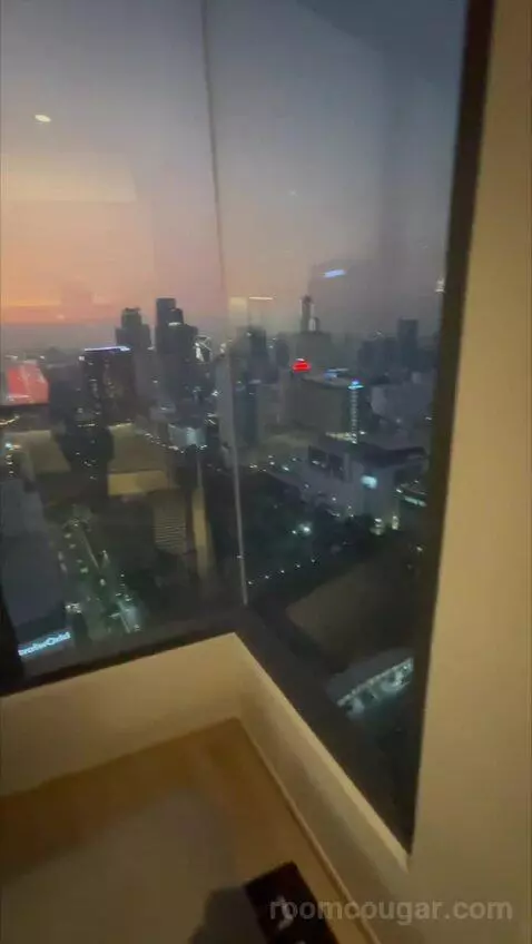 Deluxe Queen Room with City View (#2802) view picture #12