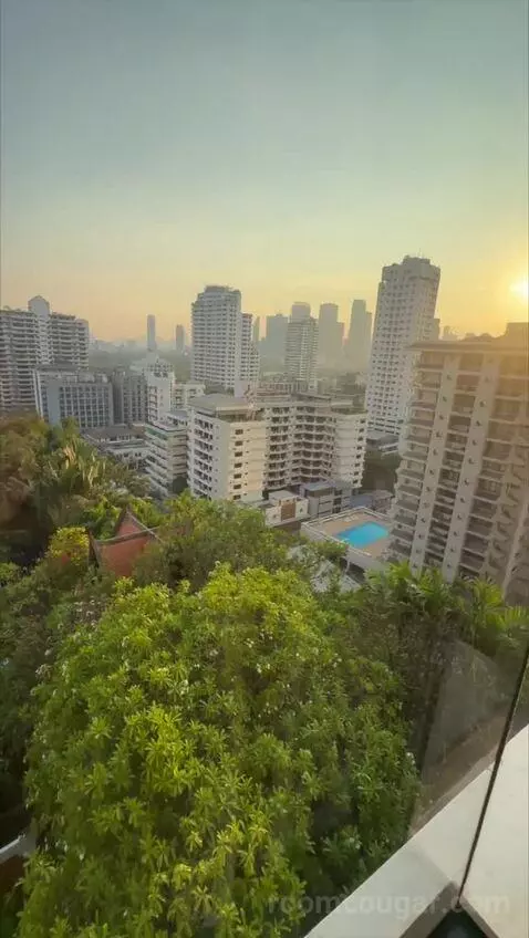 1 King Bed, High Floor view picture #6