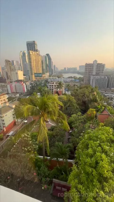 1 King Bed, High Floor view picture #8