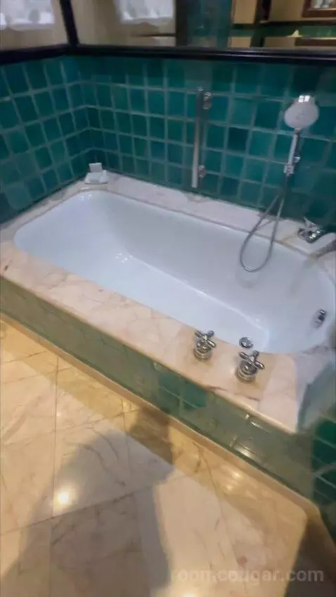 1 King Bed, High Floor bathroom picture #3