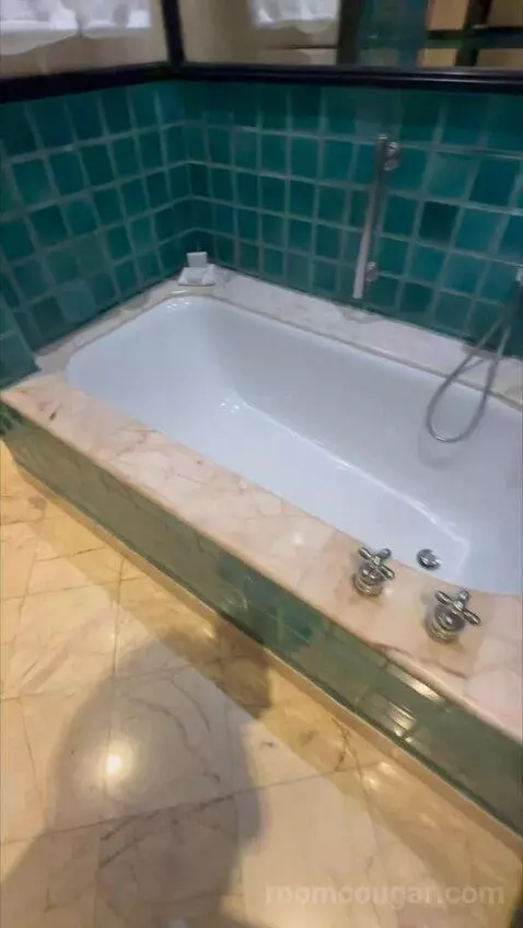 1 King Bed, High Floor bathroom picture #4