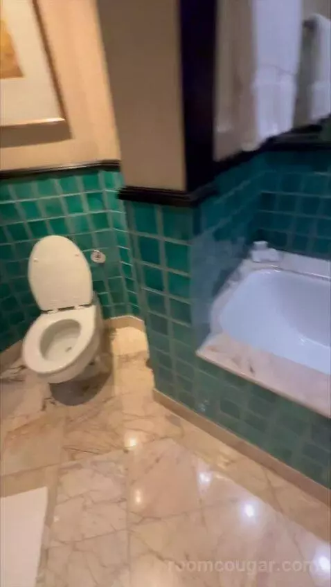 1 King Bed, High Floor bathroom picture #10
