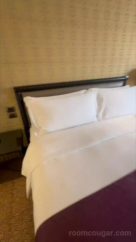 1 King Bed, High Floor bed picture #8