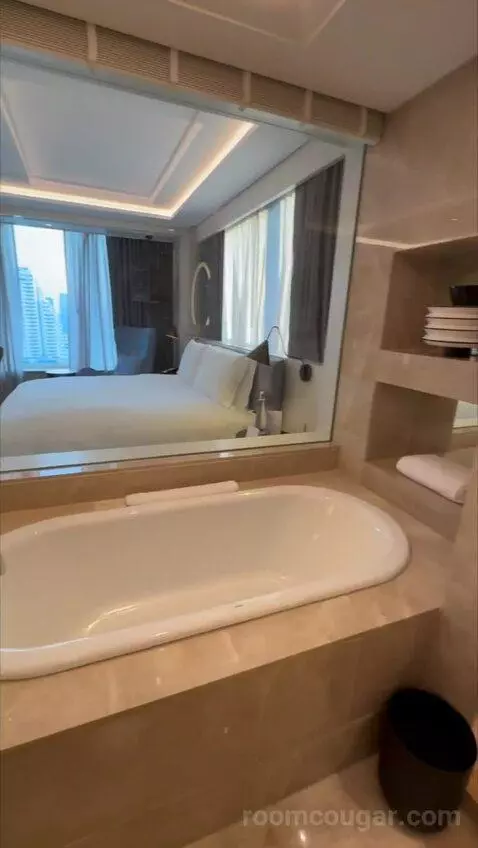 Magnifique Room, 1 King Size Bed bathroom picture #3