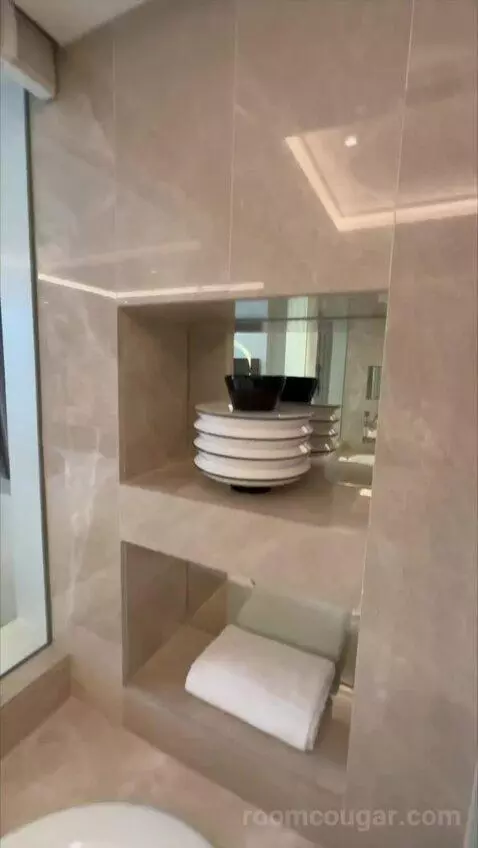 Magnifique Room, 1 King Size Bed bathroom picture #6