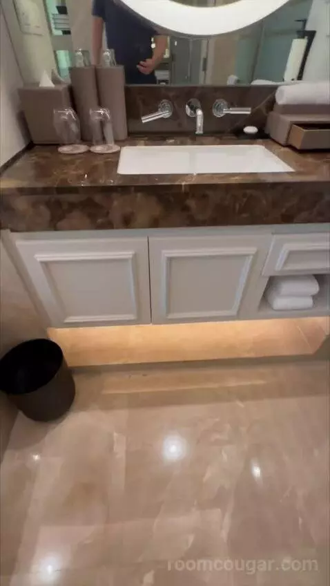 Magnifique Room, 1 King Size Bed bathroom picture #9