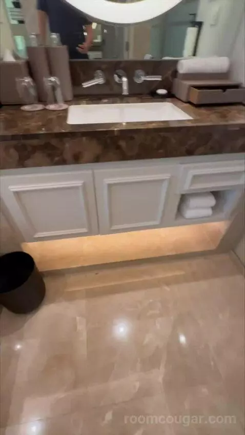 Magnifique Room, 1 King Size Bed bathroom picture #10