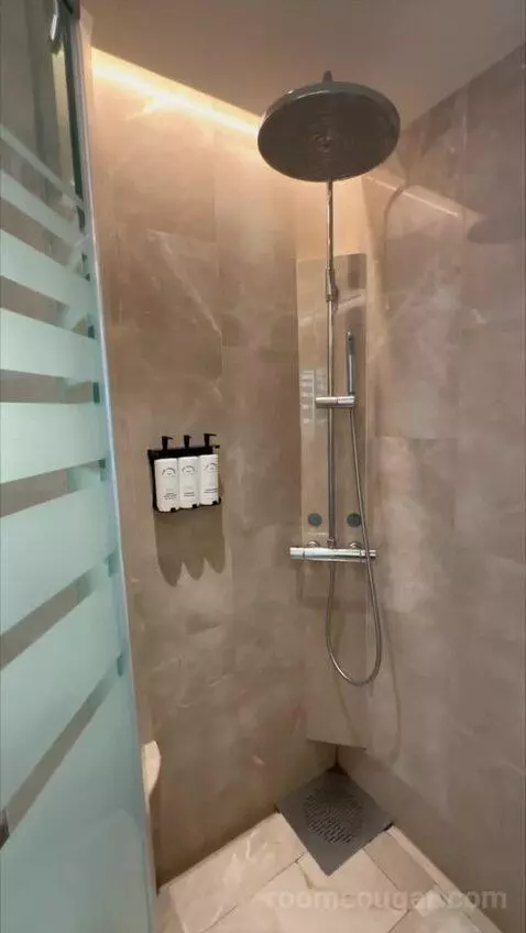 Magnifique Room, 1 King Size Bed bathroom picture #11