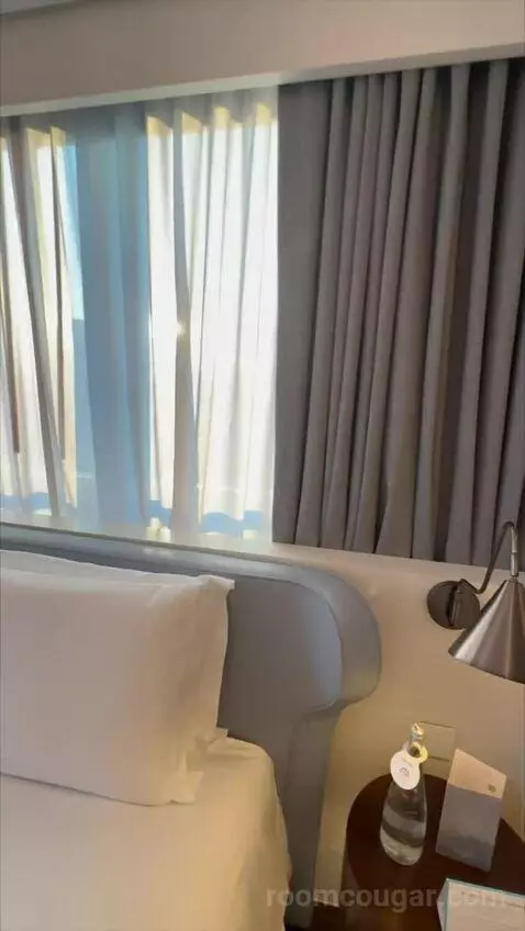 Magnifique Room, 1 King Size Bed bed picture #5