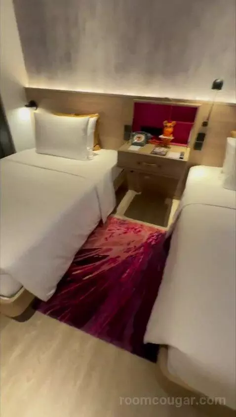Twin Room with City View bed picture #4