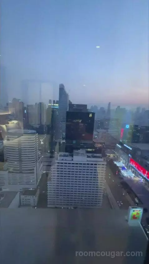 Twin Room with City View view picture #4