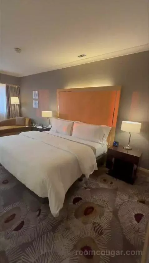 Deluxe, Guest Room, King bed picture #1