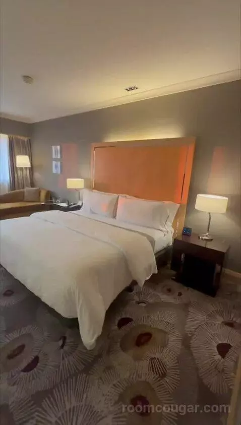 Deluxe, Guest Room, King bed picture #2