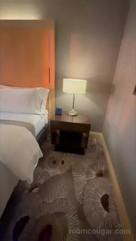 Deluxe, Guest Room, King bed picture #3