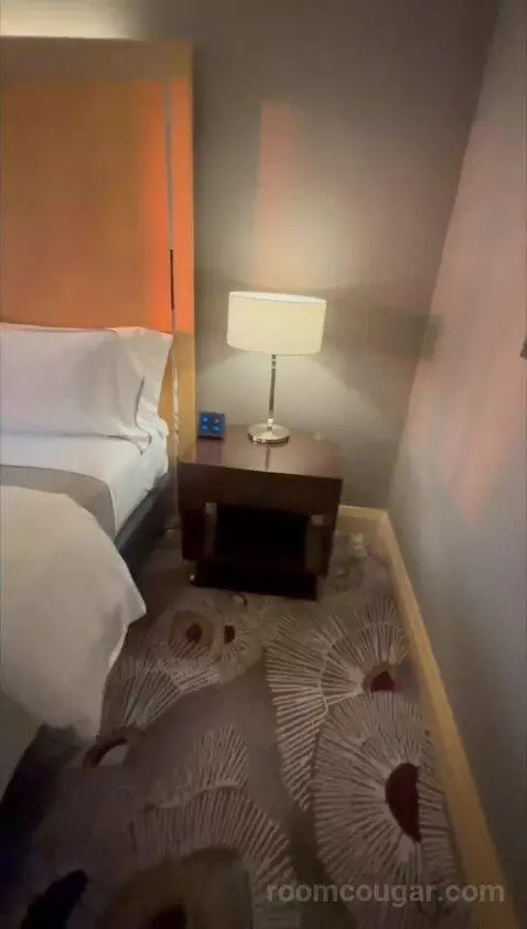 Deluxe, Guest Room, King bed picture #4