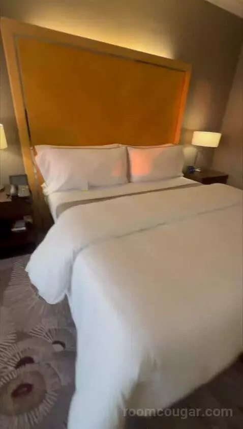 Deluxe, Guest Room, King bed picture #7