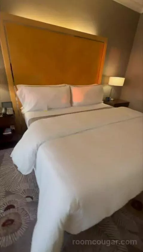 Deluxe, Guest Room, King bed picture #8