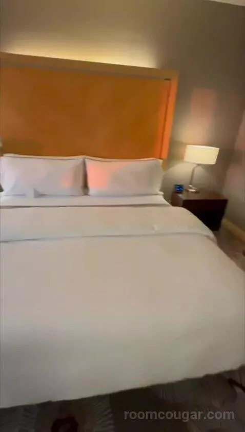Deluxe, Guest Room, King bed picture #9