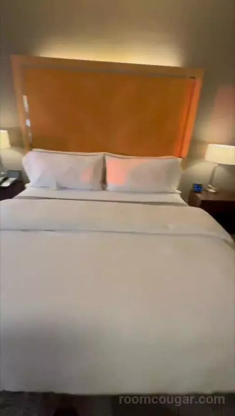 Deluxe, Guest Room, King bed picture #10