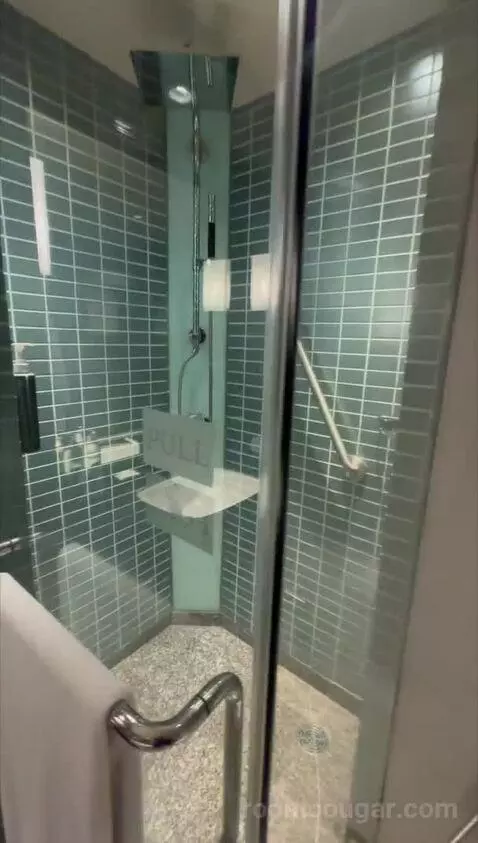Deluxe, Guest Room, King bathroom picture #5