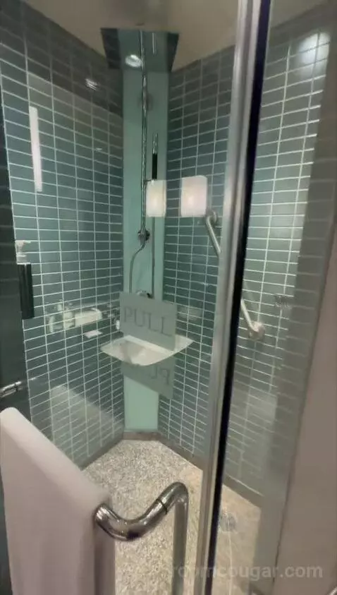 Deluxe, Guest Room, King bathroom picture #6