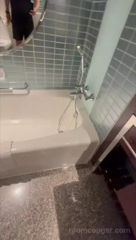 Deluxe, Guest Room, King bathroom picture #10
