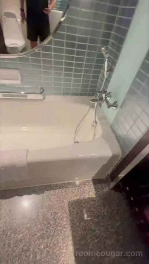 Deluxe, Guest Room, King bathroom picture #11