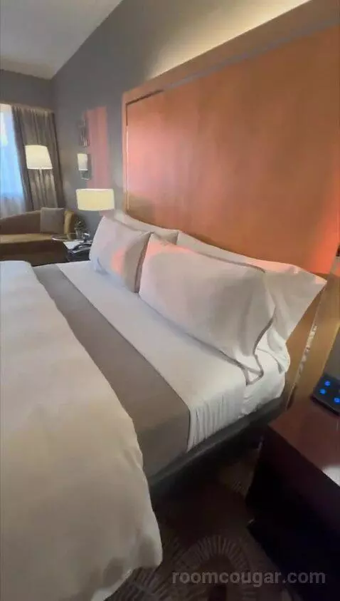 Deluxe, Guest Room, King bed picture #5