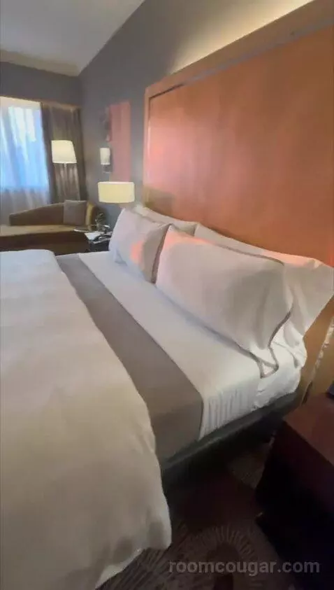 Deluxe, Guest Room, King bed picture #6