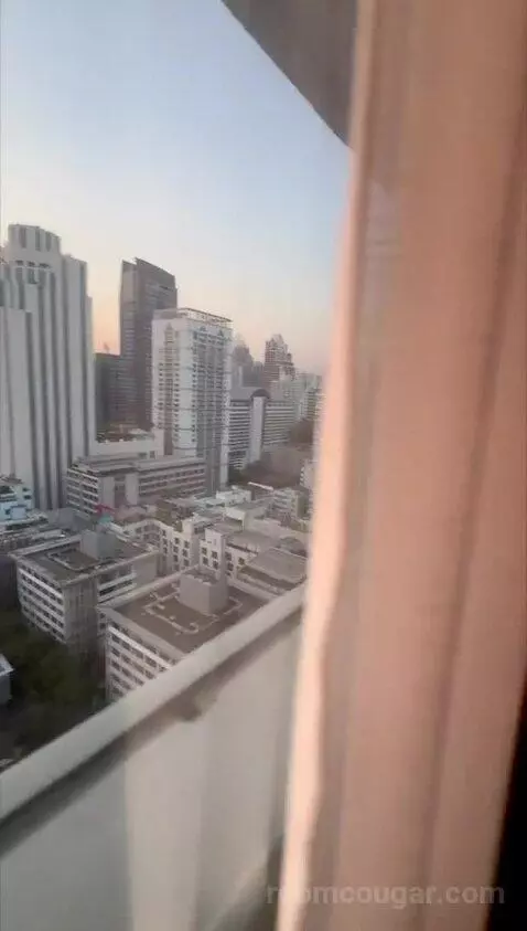 Deluxe, Guest Room, King view picture #12