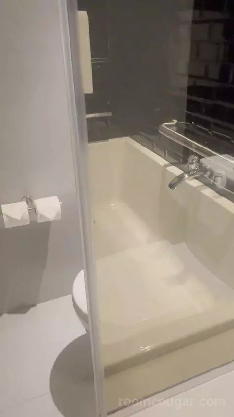 1 King Bed, Wonderful Guest Room bathroom picture #9