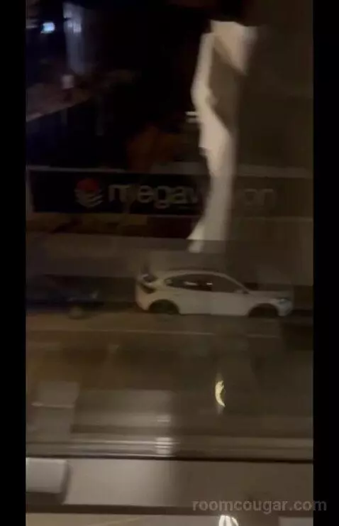 Family Junior Suite (#203) picture #11