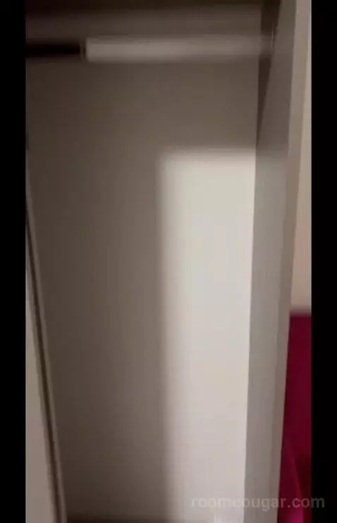 Family Junior Suite (#203) picture #14