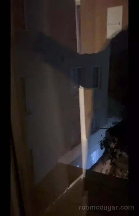 Family Junior Suite (#203) picture #21