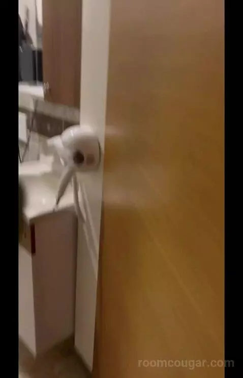 Family Junior Suite (#203) picture #22