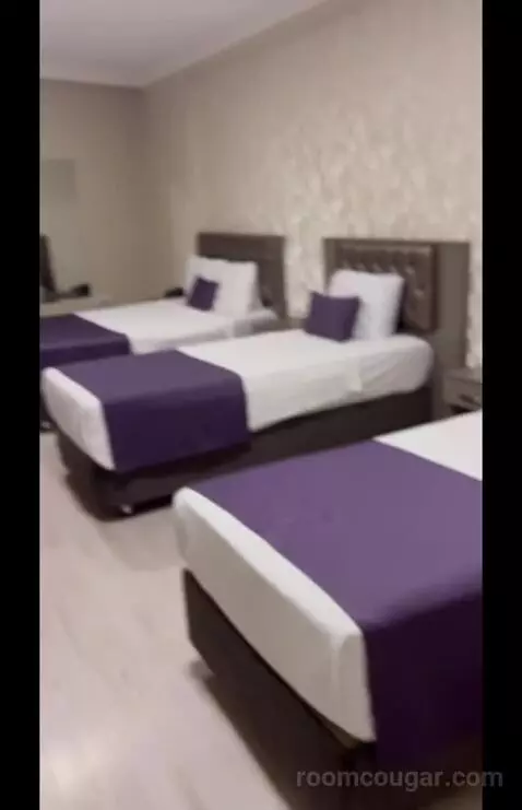 Family Junior Suite (#203) picture #23