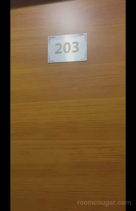 Family Junior Suite (#203) picture #4