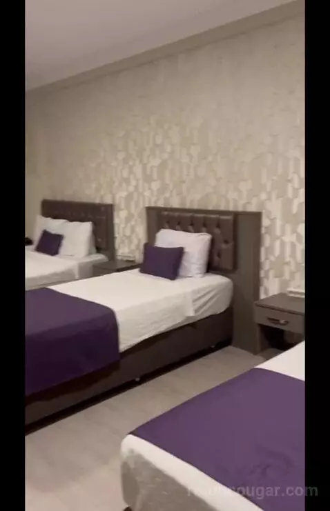 Family Junior Suite (#203) picture #5