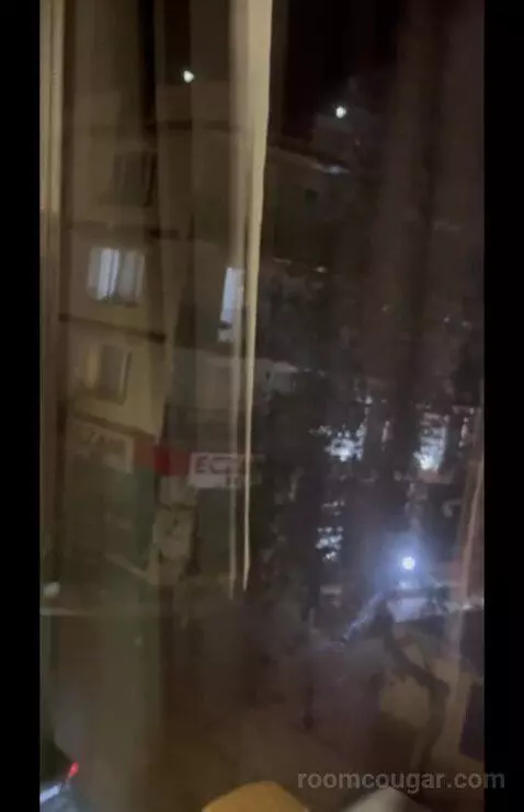 Family Junior Suite (#203) picture #10