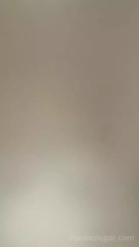 Deluxe Room (#2447) picture #16