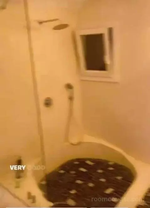 Luxury Studio with View (#15) bathroom picture #2