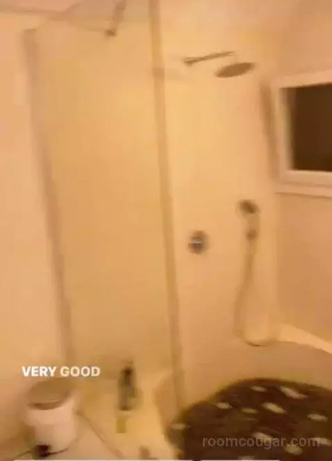 Luxury Studio with View (#15) bathroom picture #3