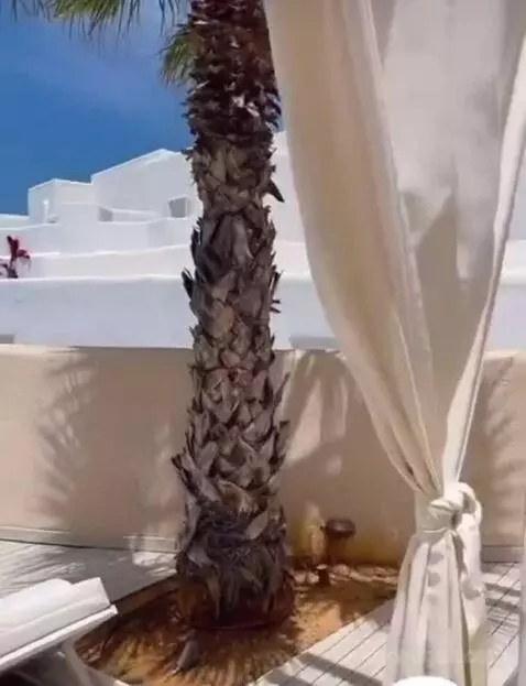 Spa Suite Sea View with Private Heated Pool and Beach Cabana view picture #6