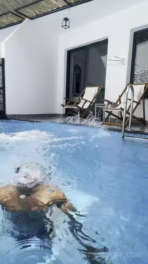 Swim Up Suite view picture #8