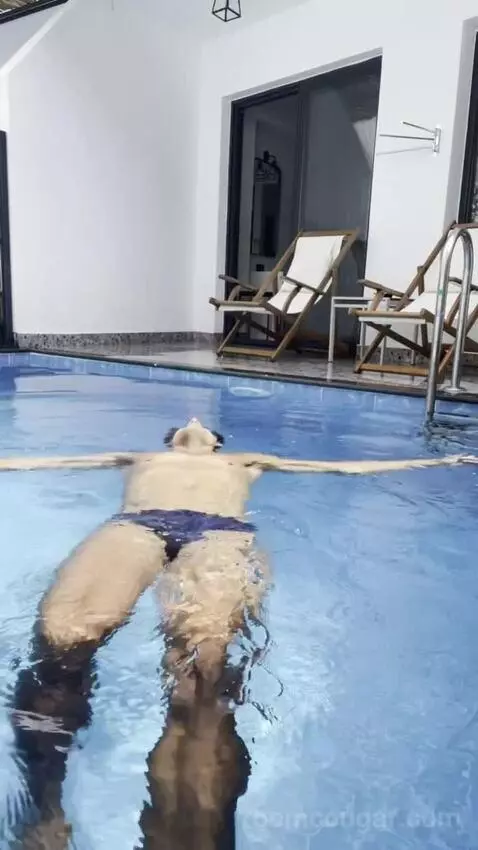 Swim Up Suite view picture #10
