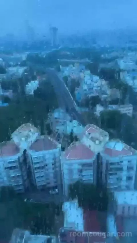 Standard view picture #1