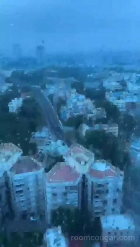 Standard view picture #7