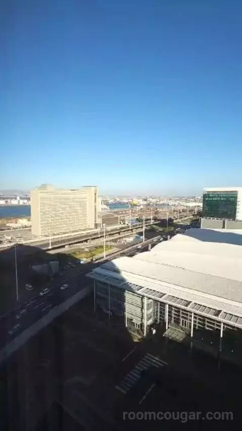 Executive King Room view picture #5