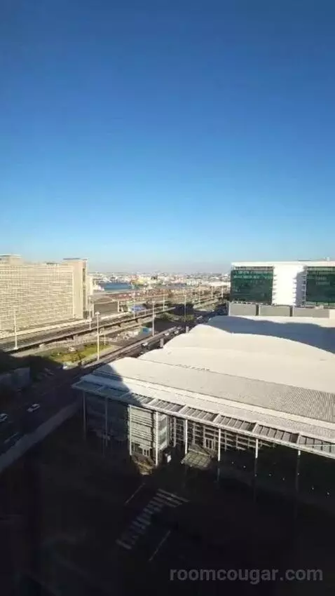 Executive King Room view picture #7