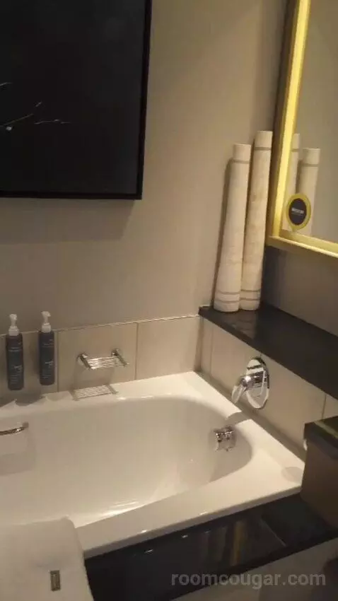 Executive King Room bathroom picture #2